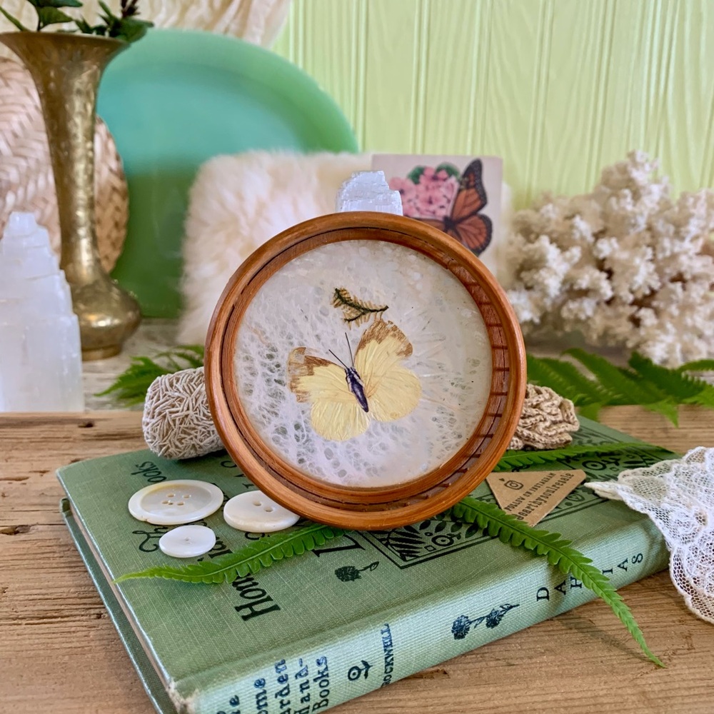 Vintage Butterfly Coaster 🦋